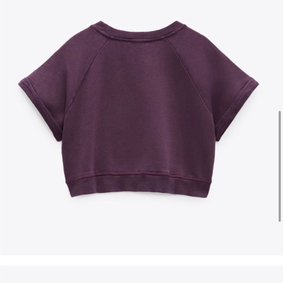 Zara Malibu Crop Top - NWT - Picture 5 of 8